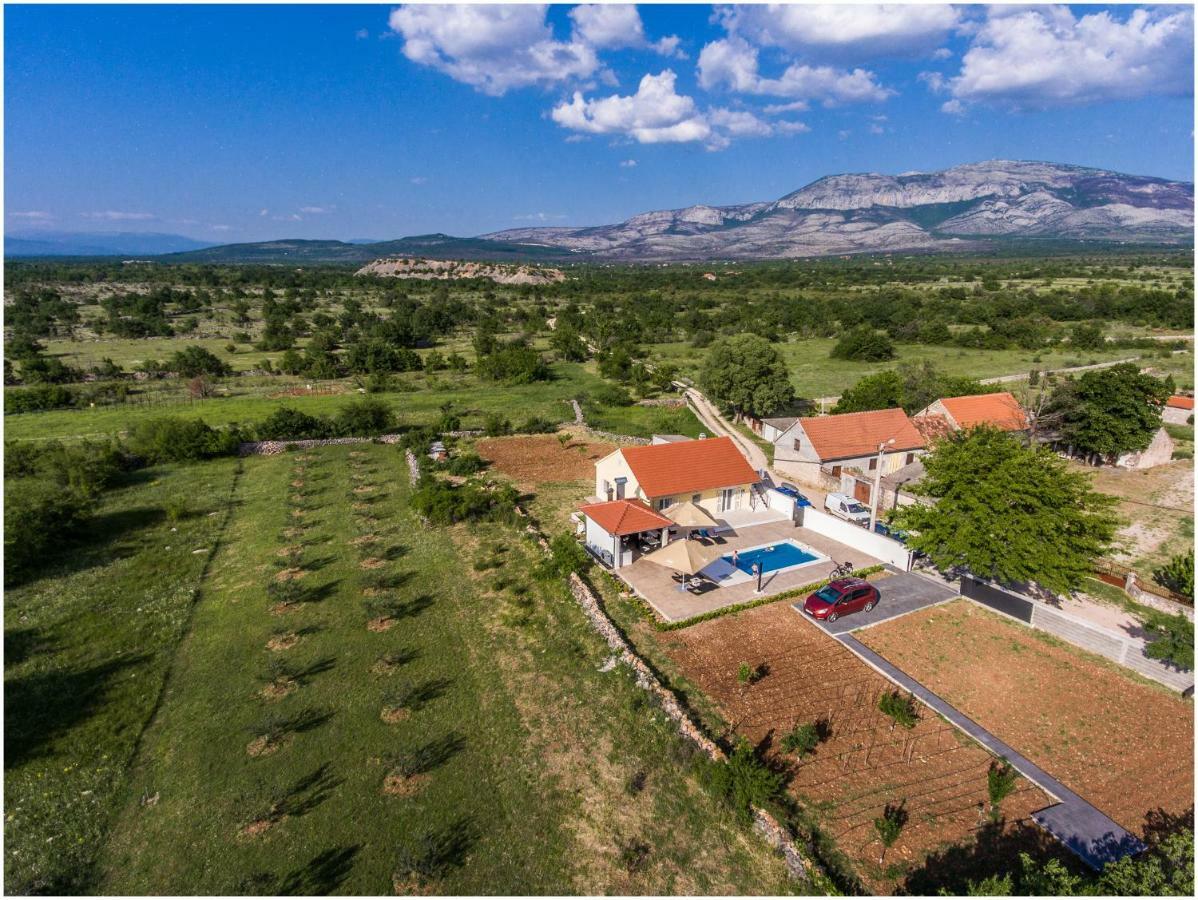 Отель House Mellifera Razvode Экстерьер фото