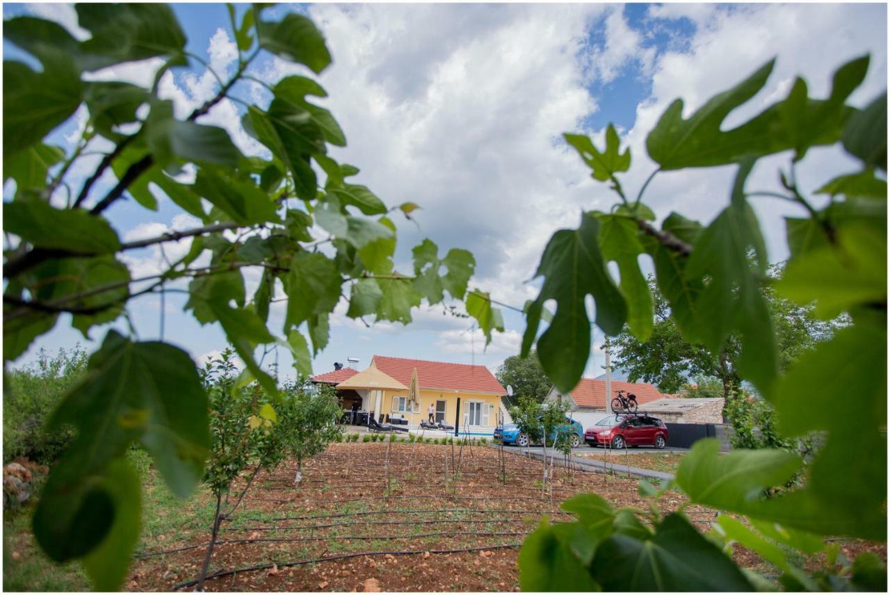 Отель House Mellifera Razvode Экстерьер фото