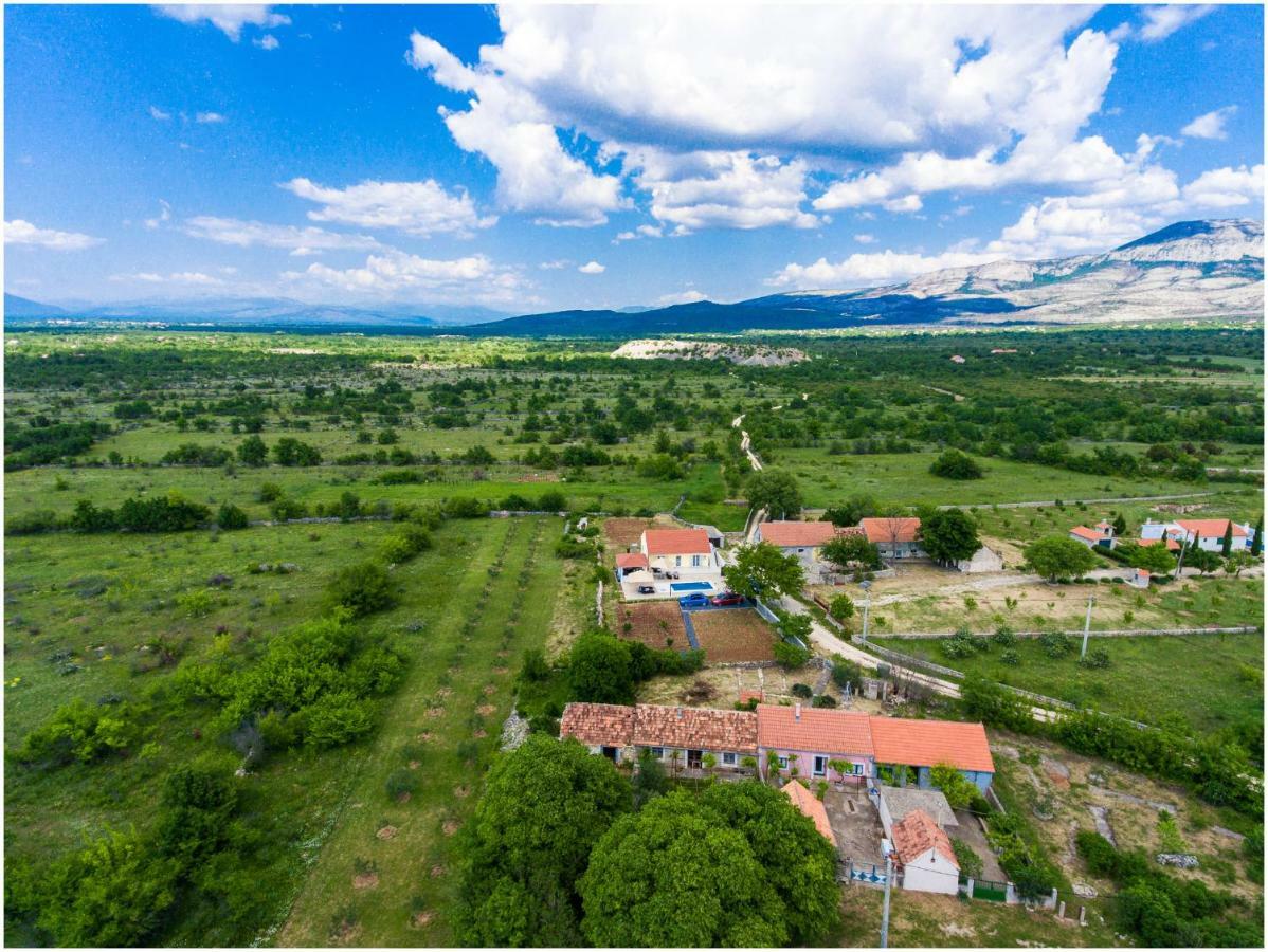 Отель House Mellifera Razvode Экстерьер фото