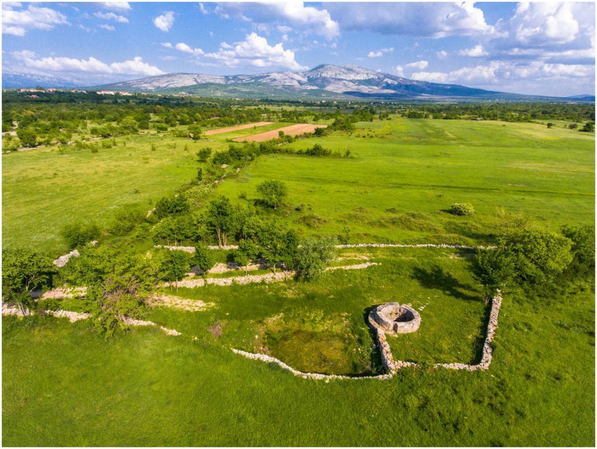 Отель House Mellifera Razvode Экстерьер фото