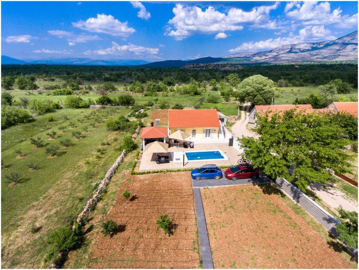 Отель House Mellifera Razvode Экстерьер фото